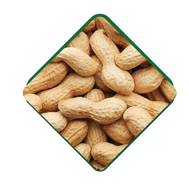 Salted Shelled Peanut